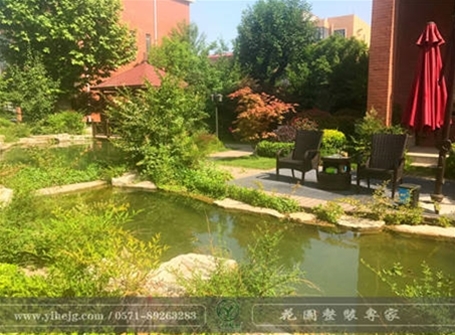 庭院景观