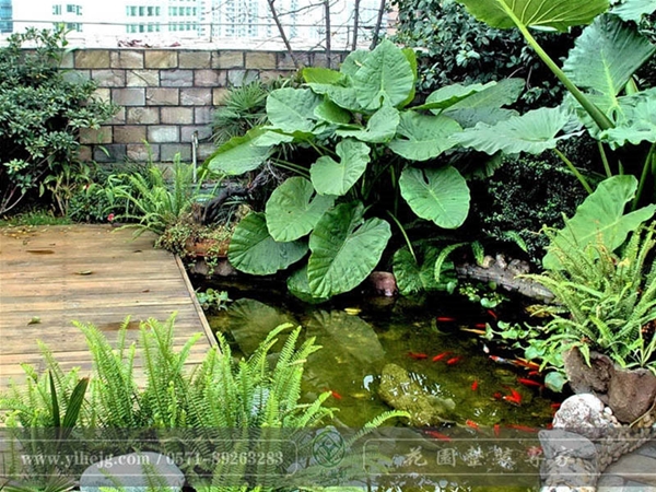 屋顶露台花园