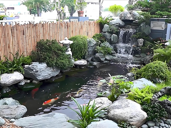 假山锦鲤鱼池