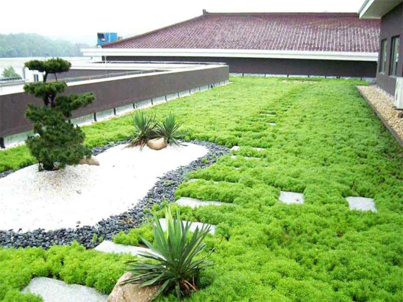 屋顶花园养护